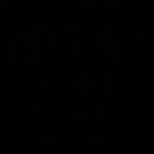 Meet your Posher, Sean